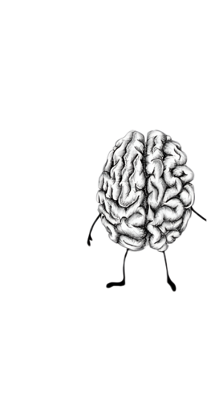 Brain