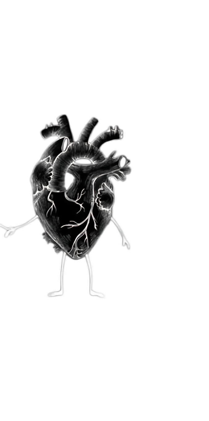 Heart